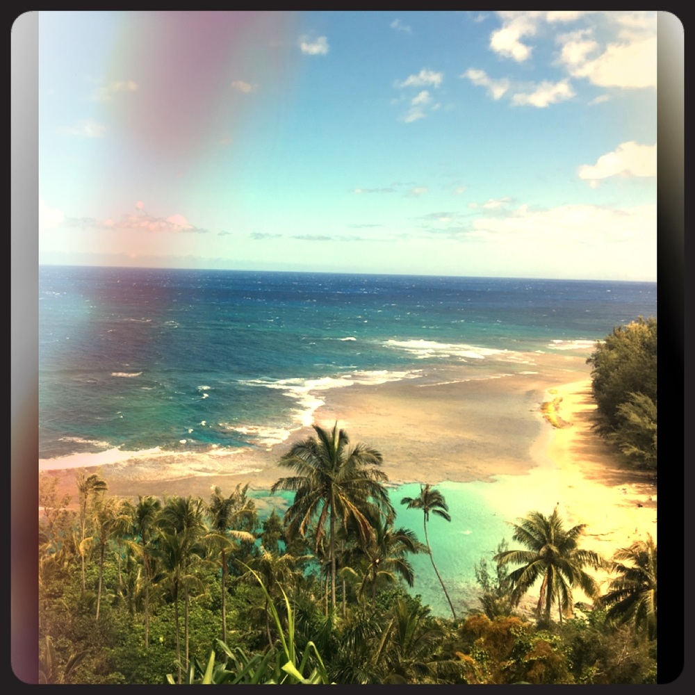 Meet your Posher, Renia